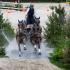 Exell wins FEI World Cupâ„¢ Driving in Geneva for the eighth time